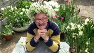 Simon Lycett's DIY daisy flower crown 🌼