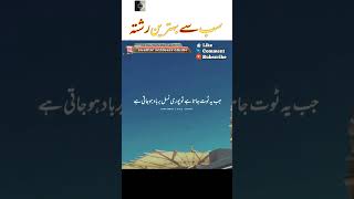 sub say bahtreen rishta #shorts #youtubeshorts @islamicscholarsonline