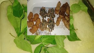 BAKWAN DAUN SEMBUKAN BISA MEREDAKAN PERUT KEMBUNG GORENG PISANG SAMA NAGET #makanan