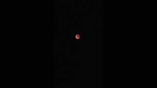 Total Lunar eclipse | Blood Moon 🌝 #shorts #totallunareclipse #bloodmoon