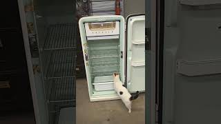 My 1952 International Harvester Refrigerator!