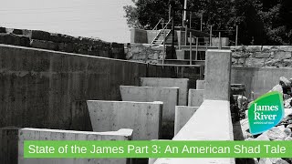 State of the James Part 3 An American Shad Tale