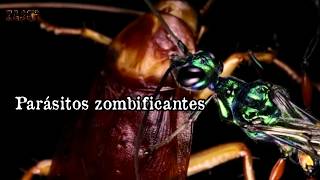 Secretos Oscuros de la Naturaleza: Criaturas Zombificadas (parásitos asesinos)