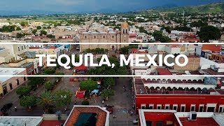 Tequila, Mexico: Jose Cuervo Factory Tour