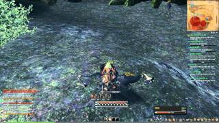 BLade and Soul - Kung Fu Master 06 [Full HD]