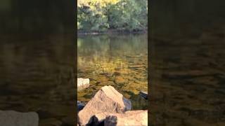 ديدن زيباي هاي آرکانزاس آمریکا با مژدهBuffalo National River in Arkansas, USA