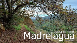 MADRELAGUA - CULATA de TEROR  (comentada)(noviembre 2021) #GranCanaria #Madrelagua #Teror