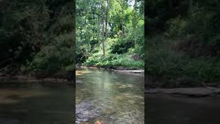 Beautiful river teme shropshire