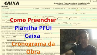 Como Preencher uma Planilha PFUI corretamente