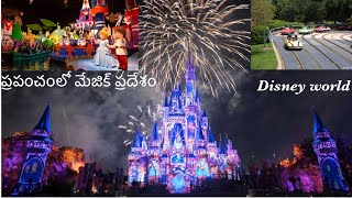 Disney World||Telugu Vlogs from USA