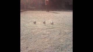 Boules Petanque : Training shoot on the iron