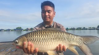 Big Hovens carp at Bungsamran | Thailand fishing