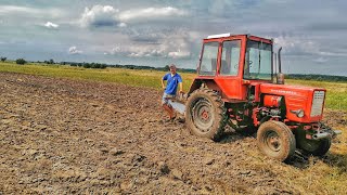 Таку оранку і не соромно показати! Перегорюєм овес і засівєм гірчицю трактором Т25!