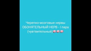 Обонятельный нерв-1 пара чмн (путь,корковый центр,симптомы поражения)