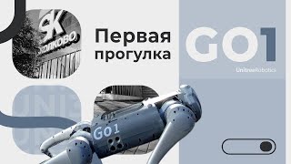 GO1 на прогулке | GO1 on the walk