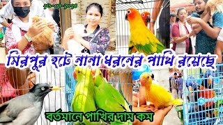 ftiday pakhir hat | 26-07-2024 ajker hat | বাচ্চা সহ পাখি কিনৃন | মিরপুর ১ পাখির হাট থেকে |