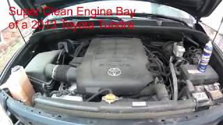 2013 Toyota Tundra Engine Bay Cleaned with Super Clean