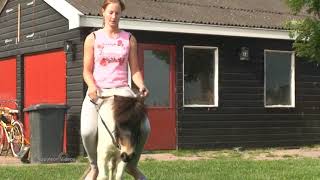 Pony Riding #pony #ponyriding #donkey #donkeyriding #Buffaloriding