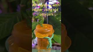 Easy Plant propagation with used prescription jars and water