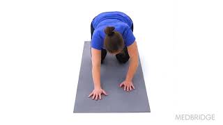 Child's Pose Stretch