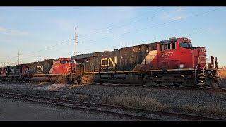 11/14/2023 CN 2877, CN 5786, CN 5660 @TrainswithAndy