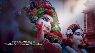 Special Darshans of Radha Vrindavan Chandra