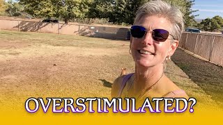 Overstimulated?