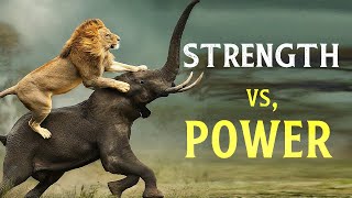 Elephants and Lions Clash: The Ultimate Fight for Survival | Documentary TV