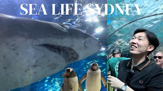 Sharks are SCARY | SEA LIFE Sydney Aquarium Tour