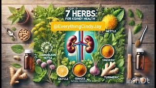 Top 7 Best Herbs for Kidney Health: Natural Remedies to Support Renal Function