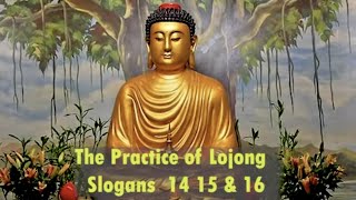 Practice of Lojong, Point 3, #14, 15 & 16