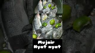 MUJAIR NYAT NYAT