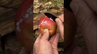 Survival Skills: Wax Firestarter from an Apple and a Broken Lighter. #survival #lifehacks #camping