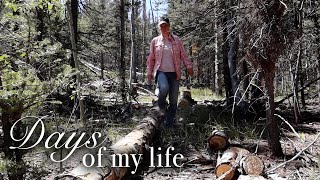 Days of my life at Spirit Forest - S5 -Ep#59