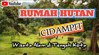 Rumah Hutan Cidampit || Wisata Alam di tengah Kota