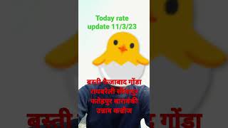 today rate update| 11/3/23|aaj ka murga Mandi rate #buisness #booster jbs poultry