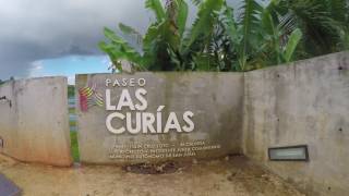 Ruteando Mi Isla: Un agujero en Medio del Lago / Paseo o Lago Las Curías, Cupey, San Juan