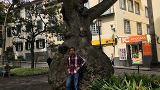 Funchal, Madeira Island