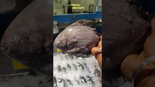 Black #Promfret fish fry recipe | #துபாயில் கருப்பு #வாவல் #மீன் #வறுவல் . #blackpomfret #shortsfeed