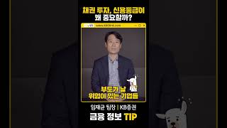 [금융 정보 Tip] 채권 투자, 신용등급이 왜 중요할까?