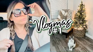 VLOGMAS DAY 1: Christmas Trees, How I Organize My Life & Healthy Grocery Haul