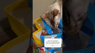 Unbox my free sample bag from Walmart+ with my cat! @Walmart #cute #shorts #fyp #unboxing #free