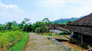 Suasana Yang Sudah Langka Di Kampung Pedalaman Yang Menenangkan Dengan Keindahan Alamnya