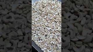 CASHEW NUT EXPORTER. WP +84907886929