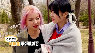 [TWICE] 채영이가 네모를 좋아하는 이유는??? *TTT 스포주의*