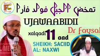 Ujawaabidii Dr Faysal 11