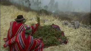 Living Heritage - The Andean Healer