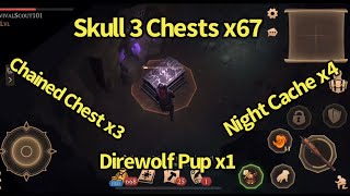 Grim Soul: Skull 3 Chest x67 Chained Chest x3 Night Cache x4 Direwolf Pup x1