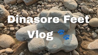 Dinasore Feet 🐾 | Sasta Vlog | Himanshu Gheu