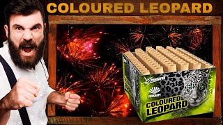 04497 Coloured Leopard - Lesli Fireworks | CAT F2 | Official Video